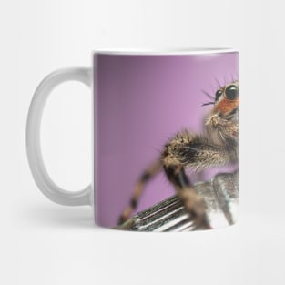 Tiny Weaver Spider Wall Art Home Decor Mug